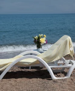 Linum Home Fun In The Sun Glittery Starfish Pestemal Beach Towel -Avanti Linens Shop 12934732 fpx