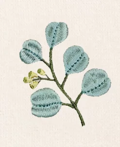 Linum Home Textiles Turkish Cotton Botanica Embellished Towel Set, 3 Piece 23 Linum Home Textiles Turkish Cotton Botanica Embellished Towel Set, 3 Piece -Avanti Linens Shop 23173830 fpx